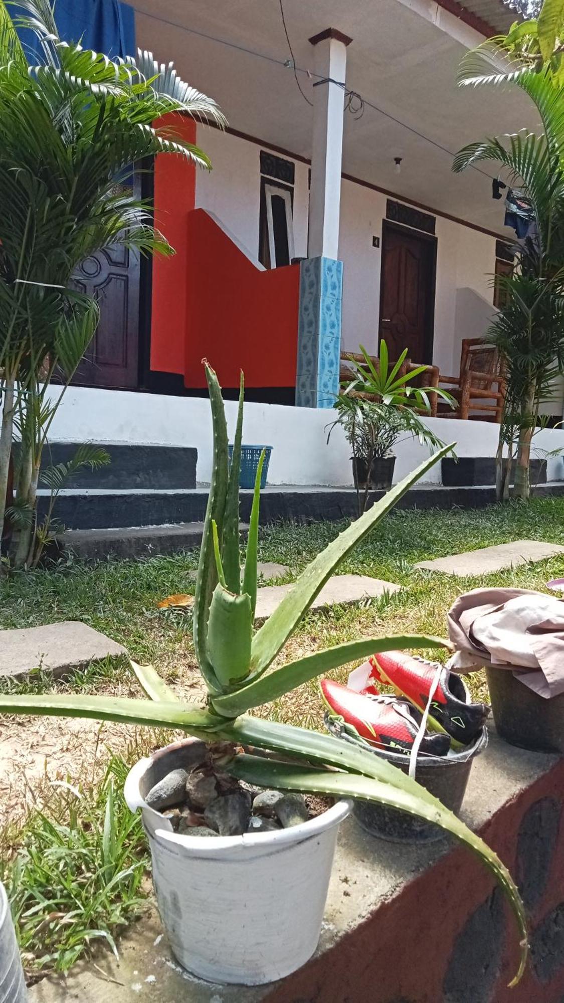 Roy Homestay Kuta Kuta  Extérieur photo